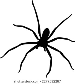 black silhouette spider on white background for printing purposes