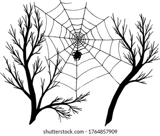 Black silhouette of spiderweb with a spider on branches of tree. Vector halloween illustration for your design. 