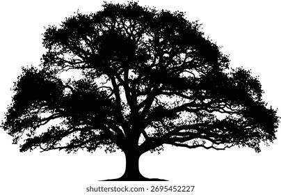 Silueta negra de un árbol en expansión con ramas gruesas y follaje denso, diseño minimalista para uso artístico o decorativo.