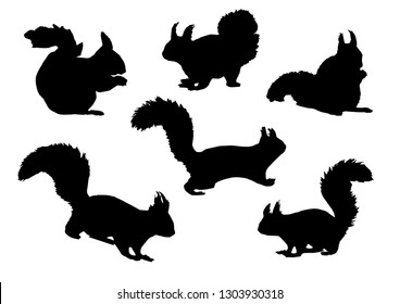 Black silhouette of squirrel in different poses on a white background. Eat, run, sit. Wild small forest animals. Vector illustration