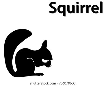 Black silhouette of squirrel eating nut on white background. Wild animal, vector, eps 10