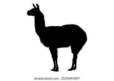 Silueta negra de llama animal de pie, vista lateral. Ilustración vectorial
