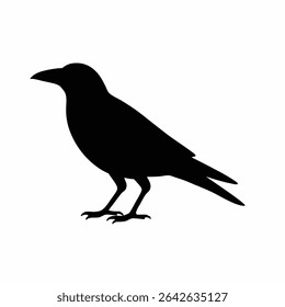 Black Silhouette of a Standing Crow