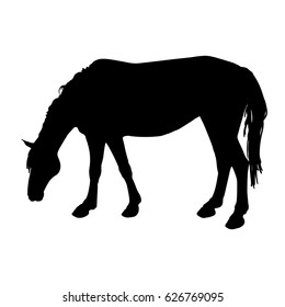 Black silhouette of a standing horse on a white background