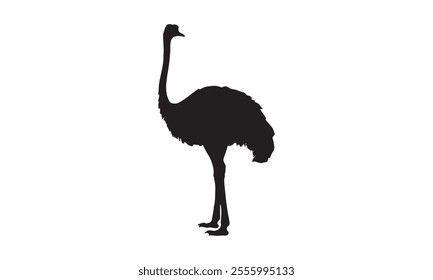 Black silhouette of a standing ostrich isolated on a plain white background, ideal for wildlife or minimalist design projects.