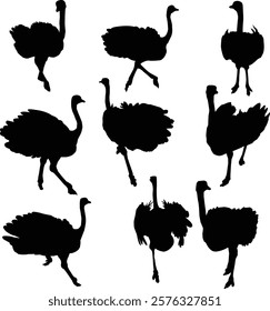 Black silhouette of a standing ostrich isolated on a plain white background, ideal for wildlife or minimalist design projects.