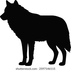 Black silhouette of a standing wolf in side view, isolated on a white background. Perfect for design and branding
