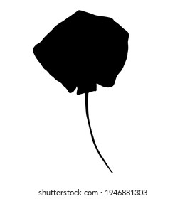 Black Silhouette Stingray. Numb-fish Vector Illustration