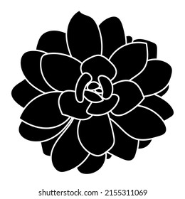 Black Silhouette Of Succulent. Desert Flower Sketch. Outline Drawing Plant. Succulent Doodle Style.