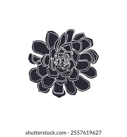 Black silhouette of succulent plant isolated on white background. Hand drawn floral linocut design