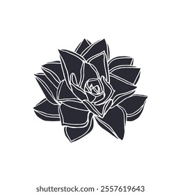 Black silhouette of succulent plant isolated on white background. Hand drawn floral linocut design