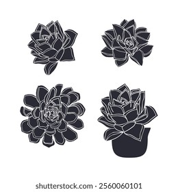 Black silhouette of succulent plant isolated on white background. Hand drawn floral linocut design