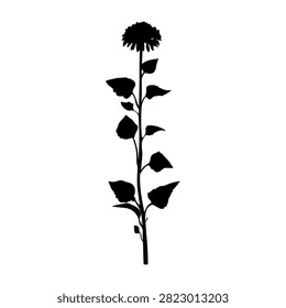 A black silhouette of a tall flower with a leafy stem and a rounded bloom at the top, set against a plain white background.