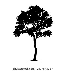 A black silhouette of a tall tree with lush, dense foliage against a white background, emphasizing natural beauty and tree structure.