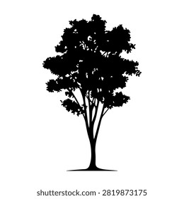 A black silhouette of a tall tree with lush, dense foliage and a sturdy trunk, set against a plain white background, emphasizing natural beauty and growth.