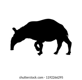 Black silhouette of tapir. Isolated image on white background. Animal of North America. Vector illustration