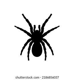 Black silhouette of tarantula spider. Huge dangerous arachnoid with large furry paws and poisonous jaws. Dangerous insect lying in wait for its vector prey