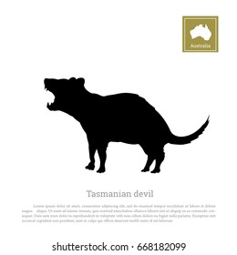 Black silhouette of  tasmanian devil on white background. Animals of Australia. Vector illustration 