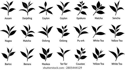 Black Silhouette Tea Leaf Assam Darjeeling Ceylon Matcha Oolong Sencha Green White Yellow Vector Icon Design Set