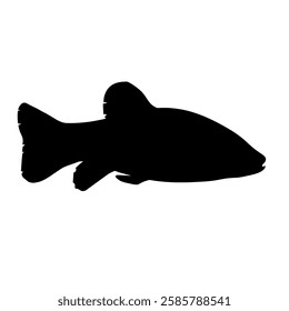 Black silhouette of tench fish, side view. Vector illustration isolated on a white background.