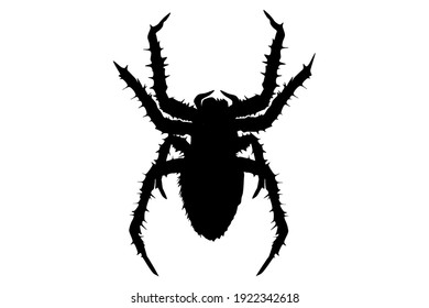 Black silhouette of terrible spider vector illustration