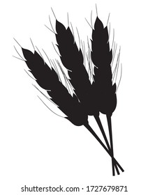 Black silhouette of three realistic spikelets of wheat in isolate on a white background. Cereal crop, agriculture or bakery theme .Vector illustration.