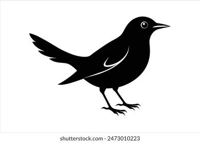 Black silhouette of a thrush bird in various styles, captured in vector art illustration. Perfect for nature-inspired designs, these elegant bird silhouettes offer versatility and artistic charm.