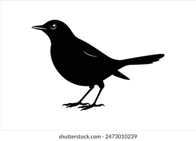 Schwarze Silhouette eines Drossel Vogel in verschiedenen Stilen, in der Vektorgrafik-Illustration eingefangen. Perfekt für naturinspirierte Designs, bieten diese eleganten Vogelsilhouetten Vielseitigkeit und künstlerischen Charme.