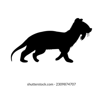 Black silhouette of thylacosmilus or tilakosmil animal, vector illustration isolated on white background. Monochrome icon of saber-toothed metatherian mammal. Extinct prehistoric animal.