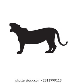 black silhouette of tiger on white background of vector illustration