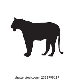 black silhouette of tiger on white background of vector illustration