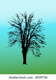 Black silhouette of the tree