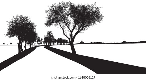 Black silhouette of tree with bare branches - winter scenery - trees afar - trees along the road - landscape