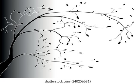 A black silhouette of a tree branch with a few leaves over a white to black fade background background