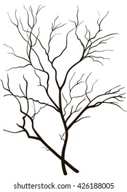silueta negra de ramas de árbol sobre fondo blanco. ilustración vectorial