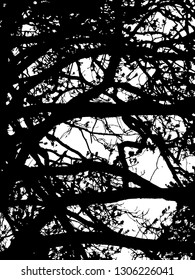 black silhouette of tree branches, vector graphics