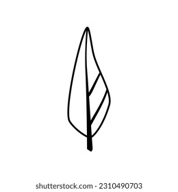 Black silhouette of a tree with crown, branch, trunk. Spruce. Clipart. Isolated element.	 