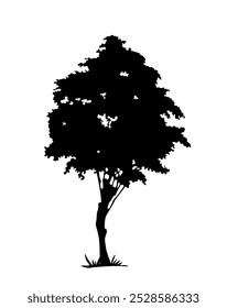 Black Silhouette of tree. Environmental plant with branches. Ecosystem, flora and nature. Garden, forest and landscape. Template and layout. Flat vector illustration isolated on white background