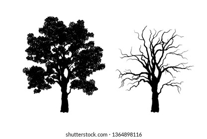 Black silhouette of tree. Forest plant. Isolated image of branchs. Vector illustration