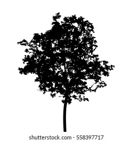 Black Tree Silhouette On White Background Stock Vector (Royalty Free ...