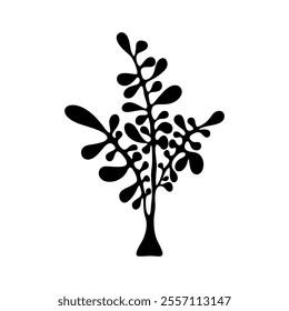 Black silhouette of a tree with leaves, branches, hand-drawn isolated on a white background vector illustration. The crassula plant, the fat woman, is a black and white drawing. A botanical element 