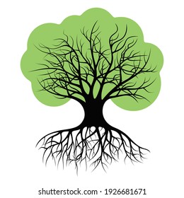 Silhouette noire d'un Arbre sur Fond Blanc. Arbre à feuillage vert. 