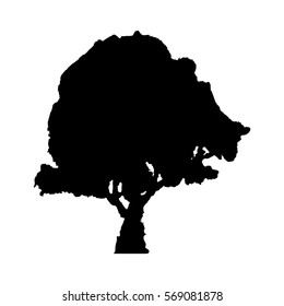 The black silhouette of a tree on a white background