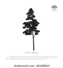 Black silhouette of a tree on a white background. Forest trees. Vector illustration
