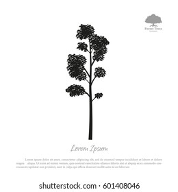 Black silhouette of a tree on a white background. Forest trees. Vector illustration