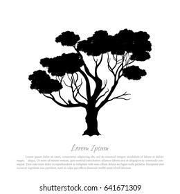 Black silhouette of a tree on white background. Australian nature. Desert landscape. Vector illustration