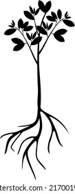 Black silhouette of tree sapling with leaves and root system isolated on white background