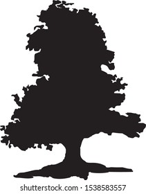 Black silhouette of a tree. Vector illustration on isolated background.