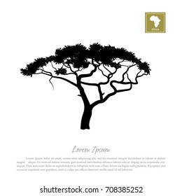 Black silhouette of a tree and white background. African nature. Umbrella acacia. Vector illustration