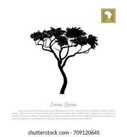 Black silhouette of a tree and white background. African nature. Umbrella acacia. Vector illustration